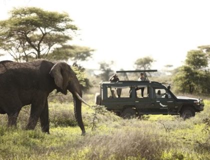 East Africa Spectacular Fly-in Safari Offer