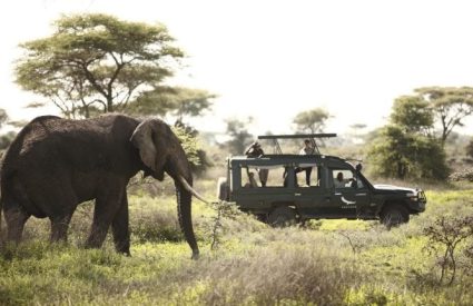 East Africa Spectacular Fly-in Safari Offer