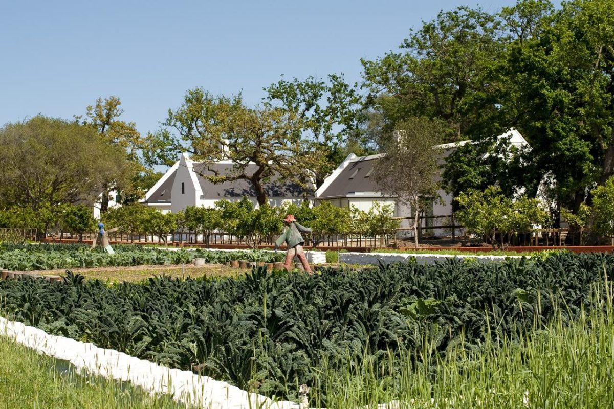 Cedarberg Travel | Babylonstoren Hotel & Wine Estate