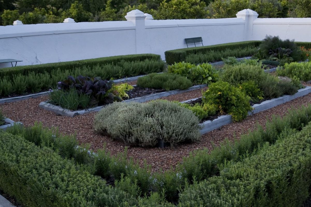 Cedarberg Travel | Babylonstoren Hotel & Wine Estate