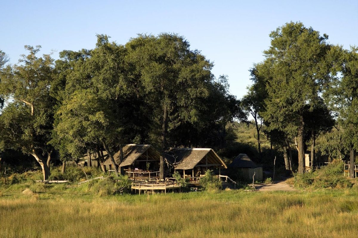 Cedarberg Travel | Duba Plains Camp