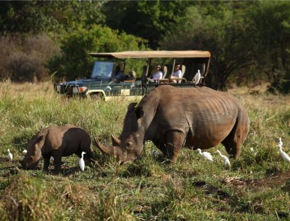 Kenyan Exploration Fly-in Safari