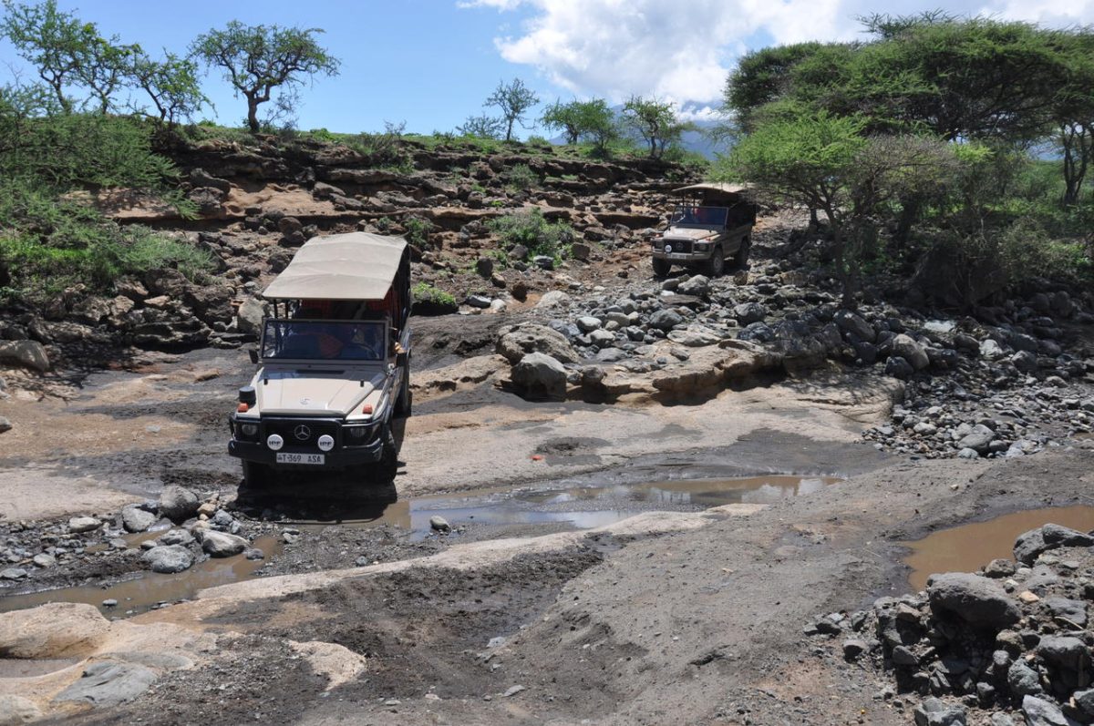 Cedarberg Travel | Hatari Lodge