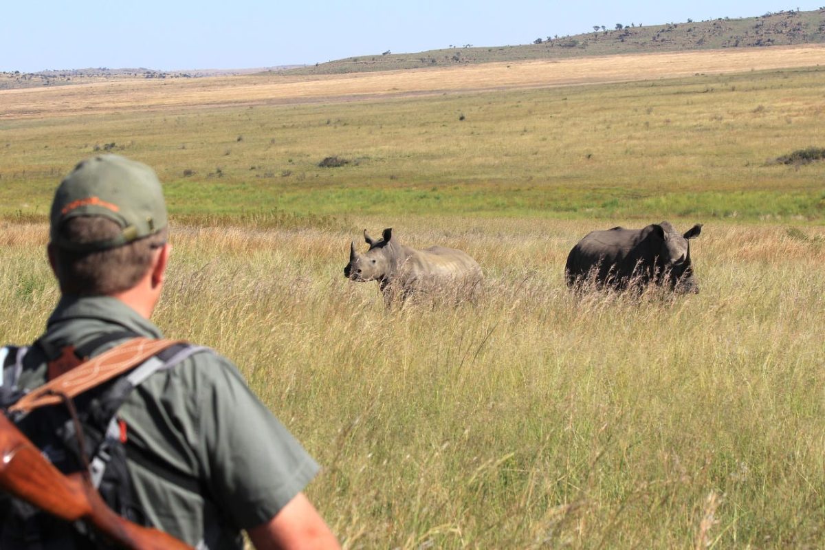 Cedarberg Travel | Welgevonden Safari Getaway