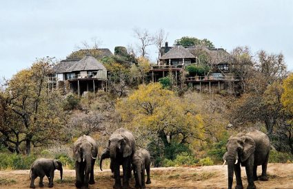 Leopard Hills Private Game Lodge