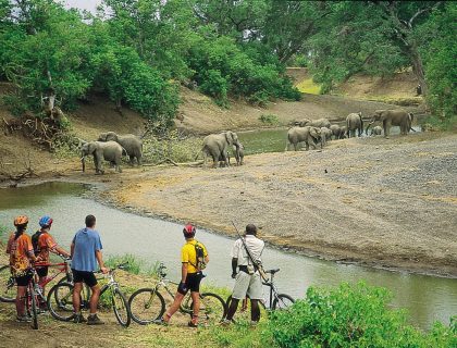 cedarberg-mashatu-tented-camp-adventure-mashatu