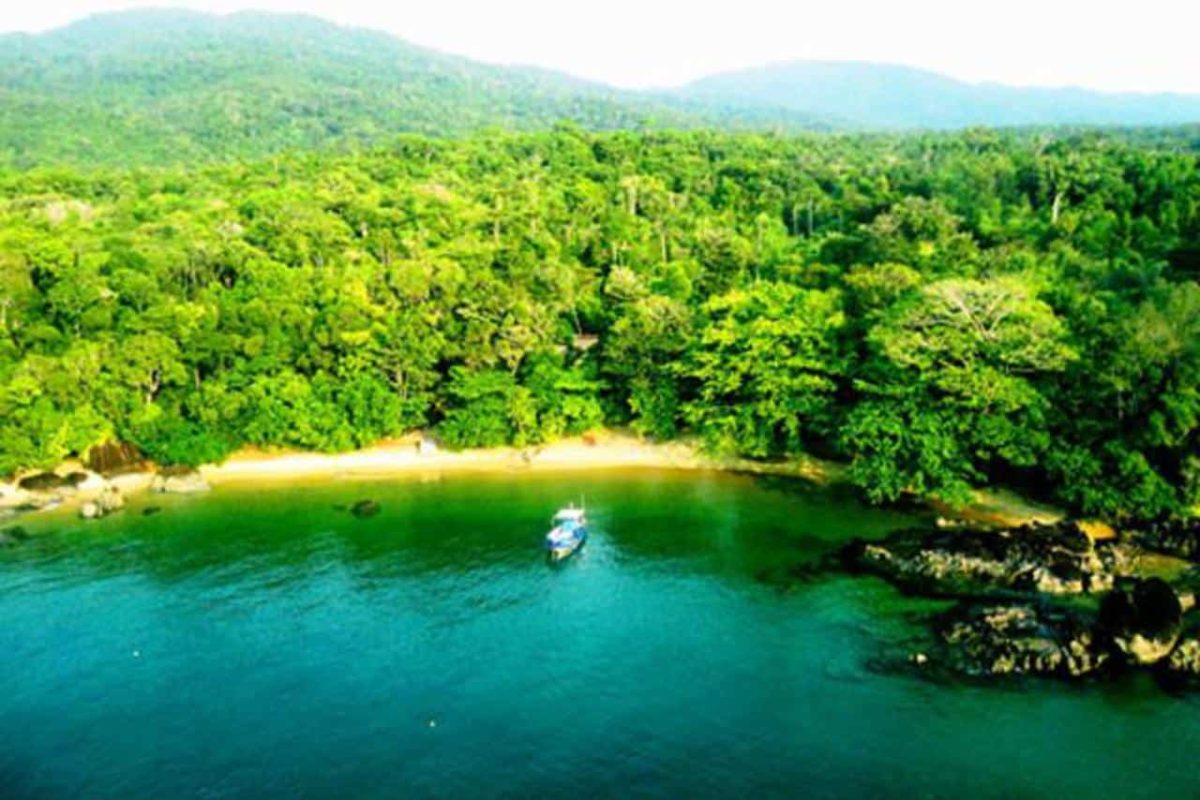 Cedarberg Travel | Masoala Rainforest & Anjajavy Reserve Safari