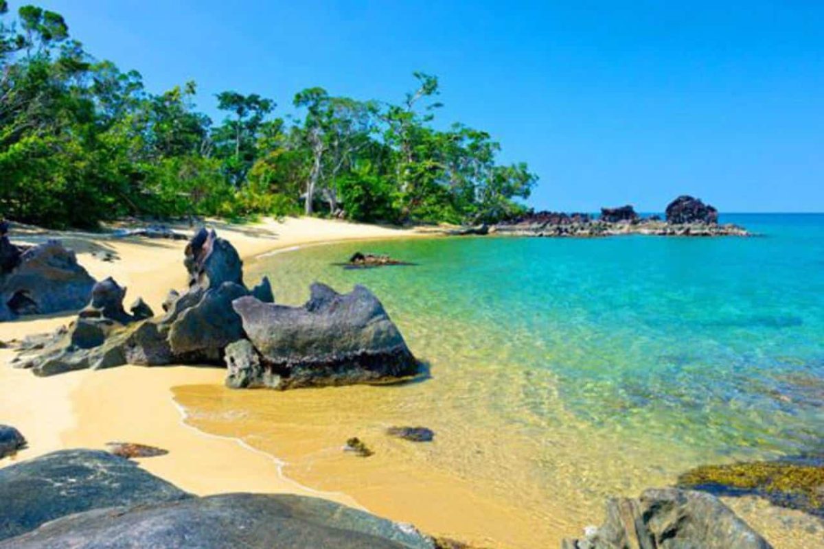 Cedarberg Travel | Masoala Rainforest & Anjajavy Reserve Safari