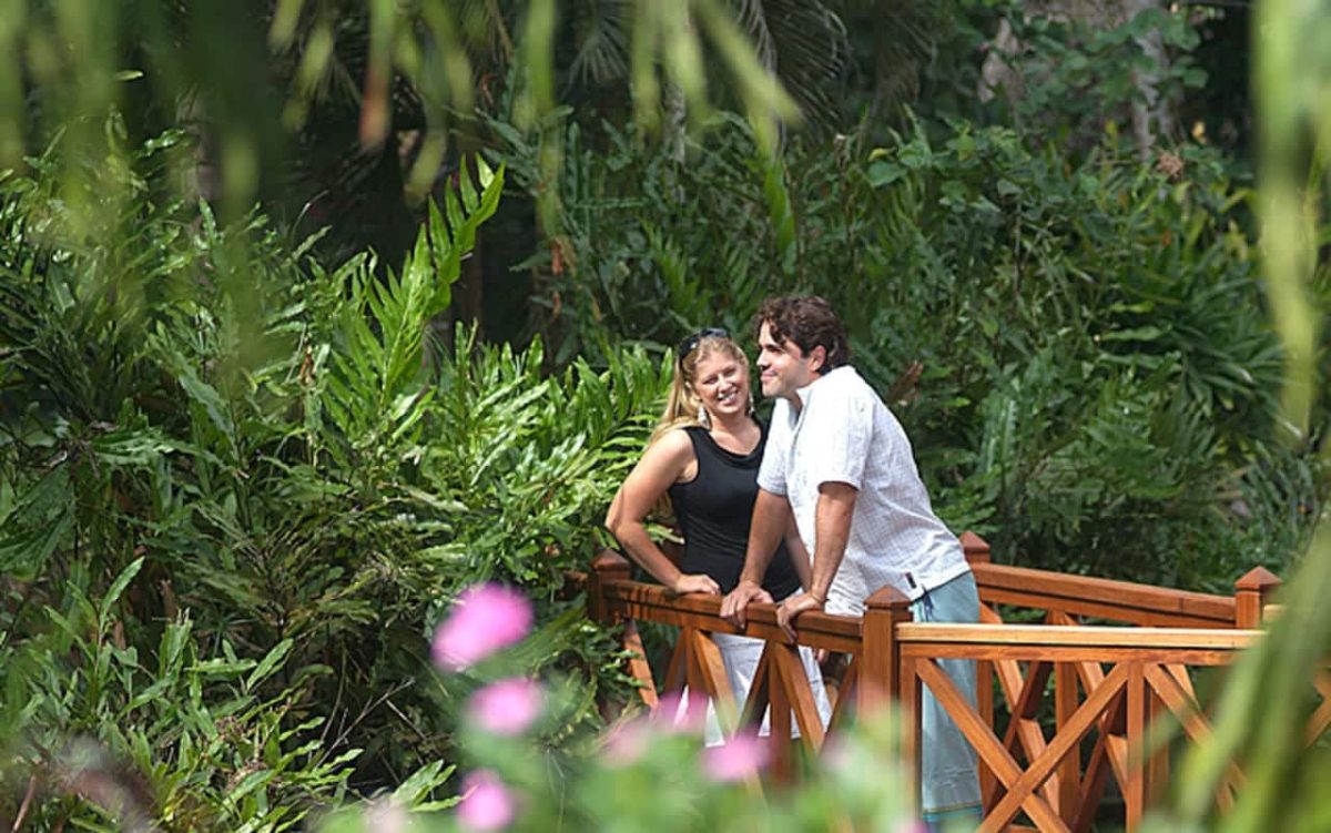 Cedarberg Travel | Pinewood Beach Resort & Spa