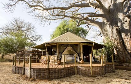 Sanctuary Swala