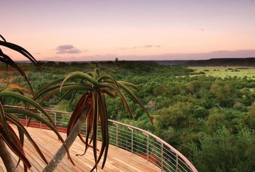 Sarili at Shamwari Private Game Reserve