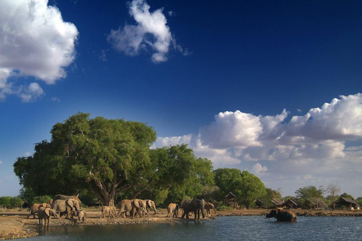 Cedarberg Travel | Satao Camp