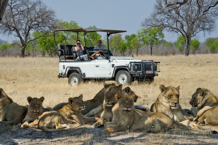 Cedarberg Travel | Hwange Explorer by Air