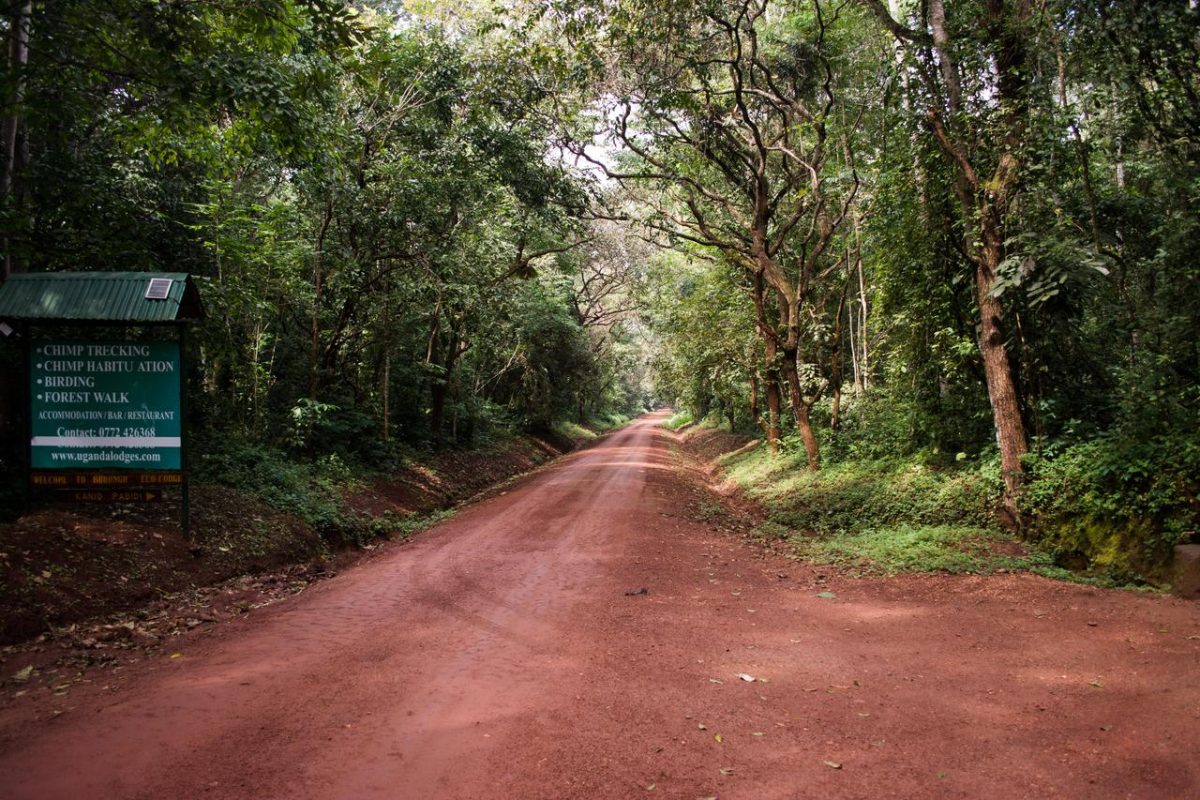 Cedarberg Travel | Budongo Eco Lodge