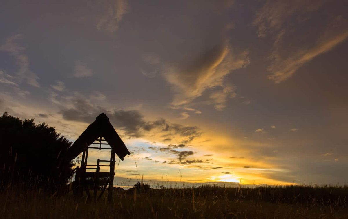 Cedarberg Travel | Kwando Lebala Camp