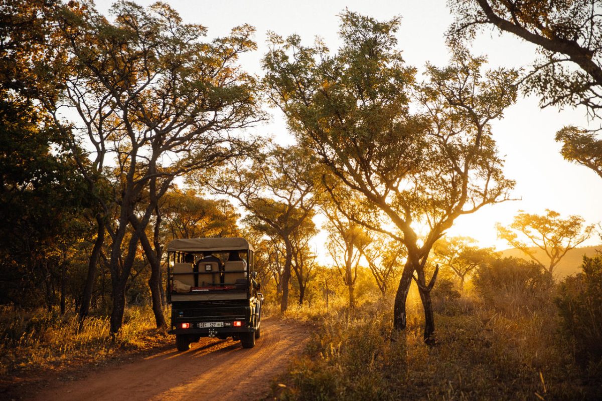 Cedarberg Travel | Kololo Game Reserve