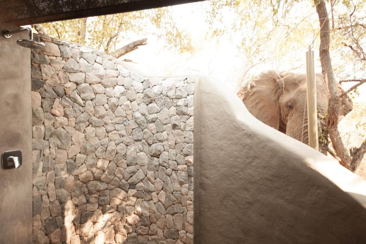 Cedarberg Travel | Garonga Safari Camp