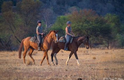 Horizon Horseback Safari Lodge