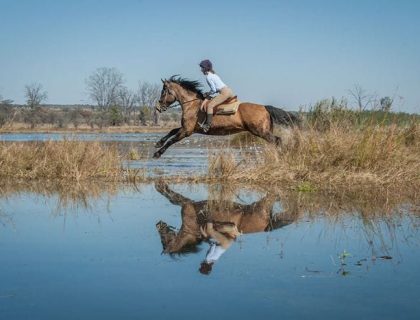 horizon horseback safari