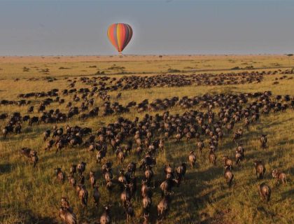 hot_air_balloon_over_the_migration