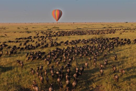 Great Migration Safaris