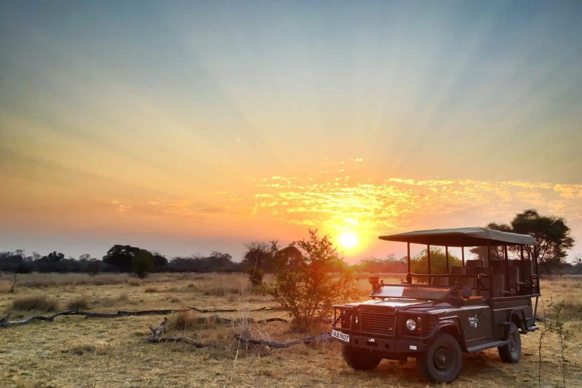 Cedarberg Travel | Ntemwa-Busanga Camp