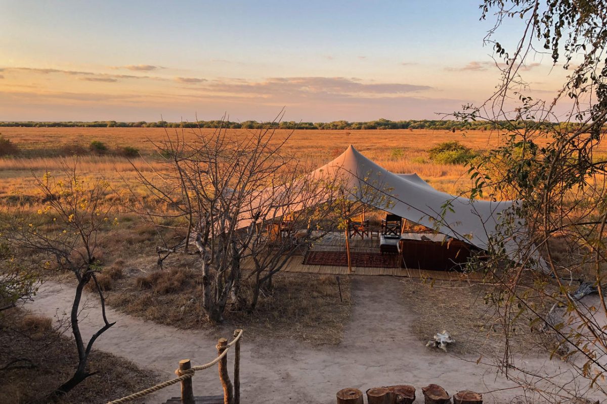 Cedarberg Travel | Ntemwa-Busanga Camp