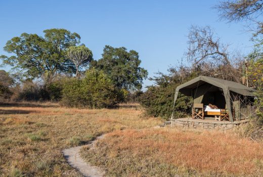 Safari tent