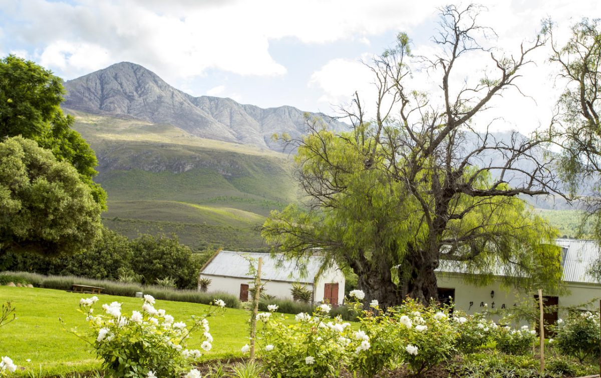 Cedarberg Travel | Swartberg Country Manor