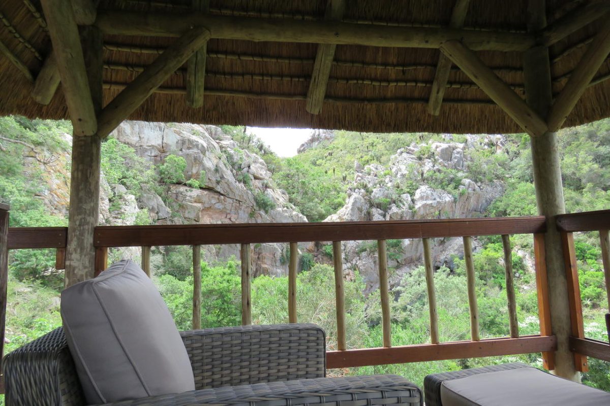 Cedarberg Travel | Amakhala Woodbury Lodge