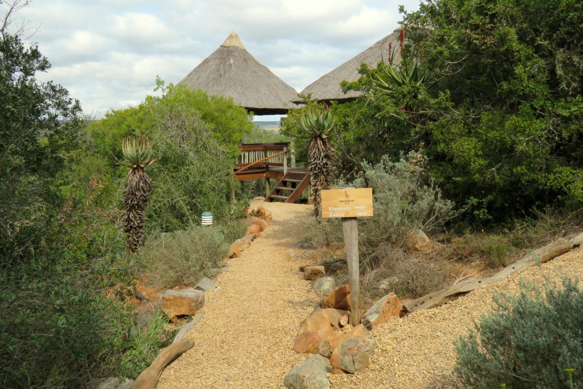 Cedarberg Travel | Amakhala Woodbury Lodge