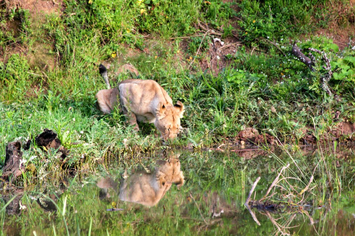 Cedarberg Travel | Amakhala Leeuwenbosch Country House