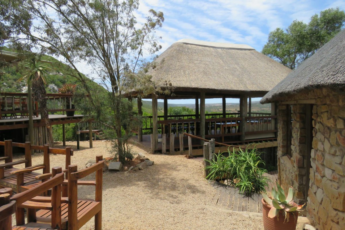 Cedarberg Travel | Amakhala Woodbury Lodge