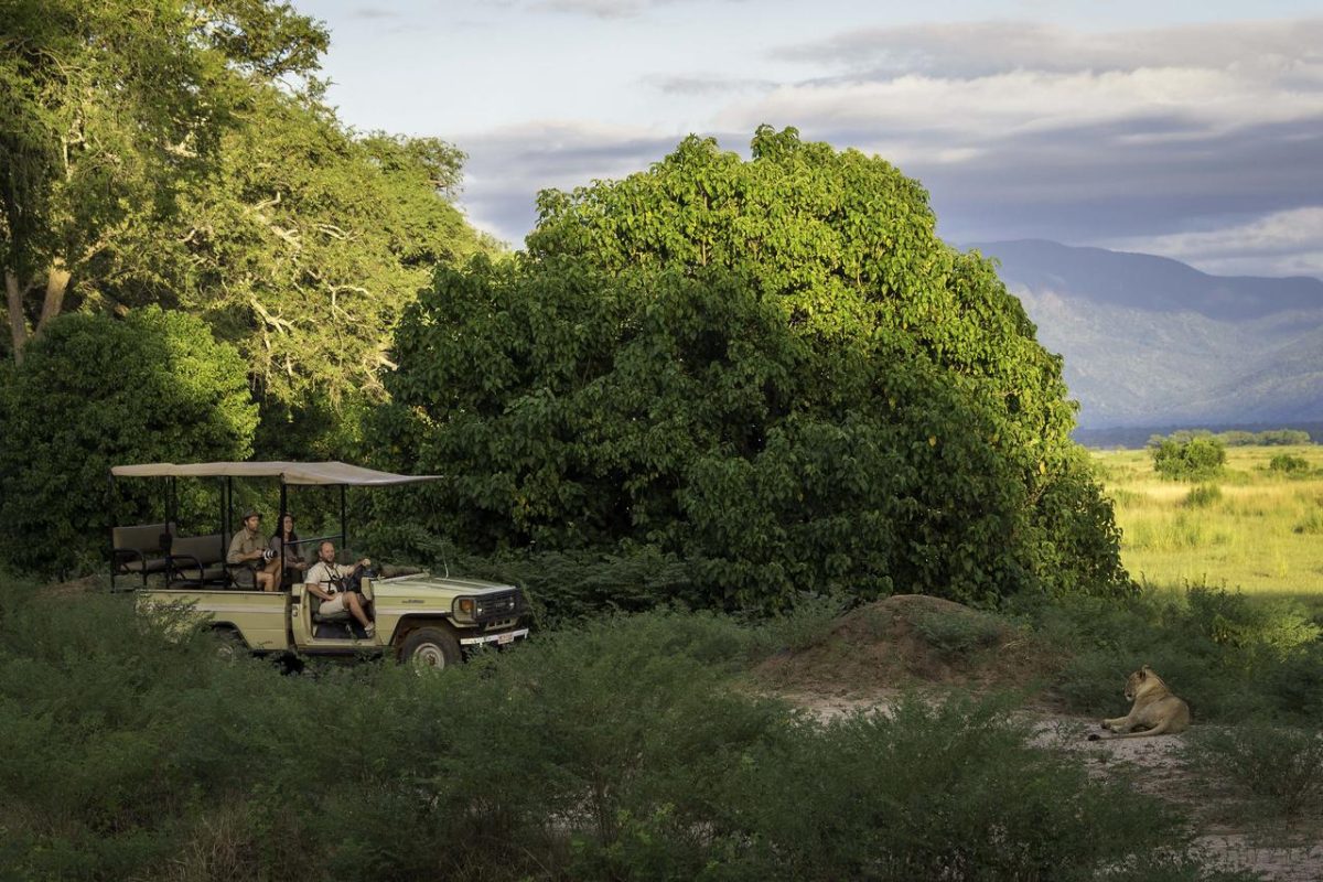 Cedarberg Travel | Wetu Demo