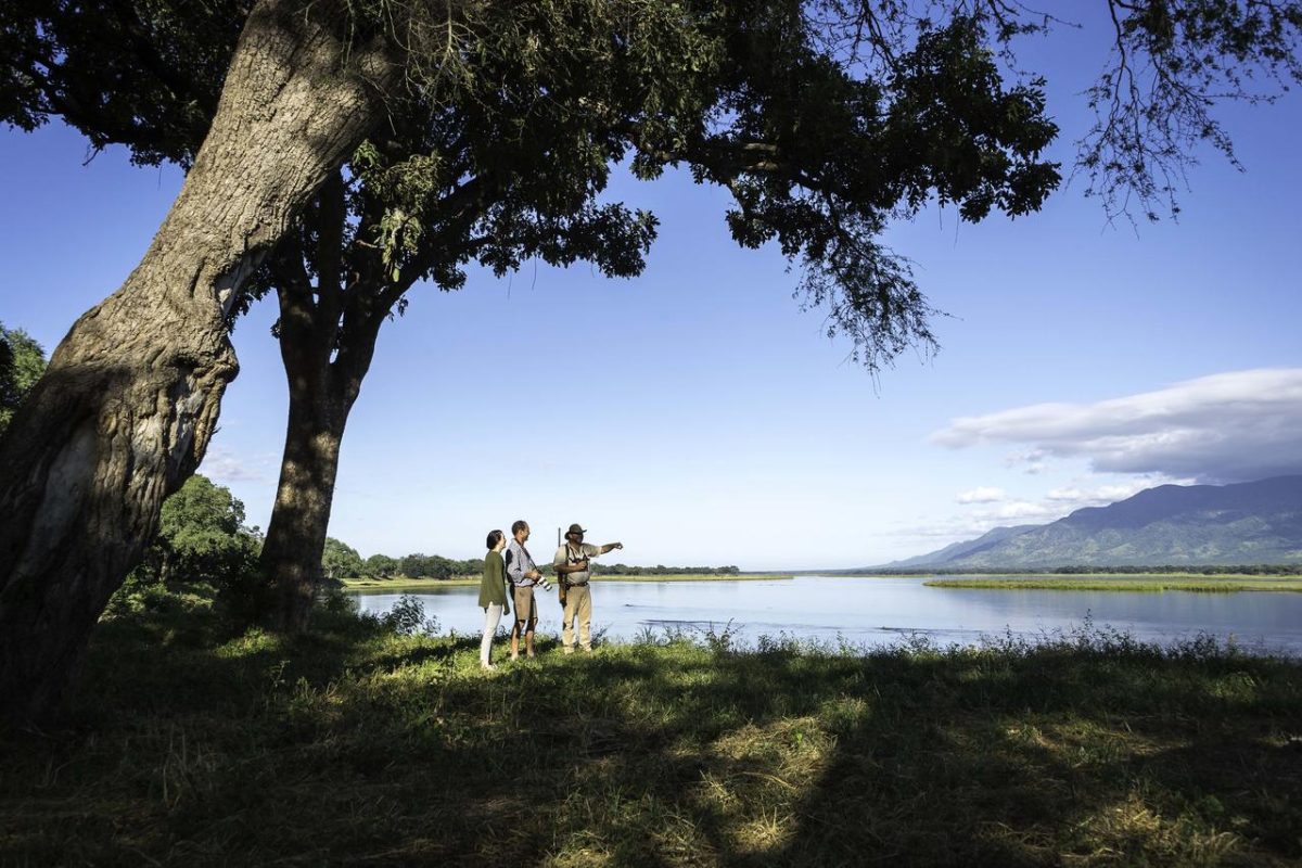 Cedarberg Travel | Wetu Demo