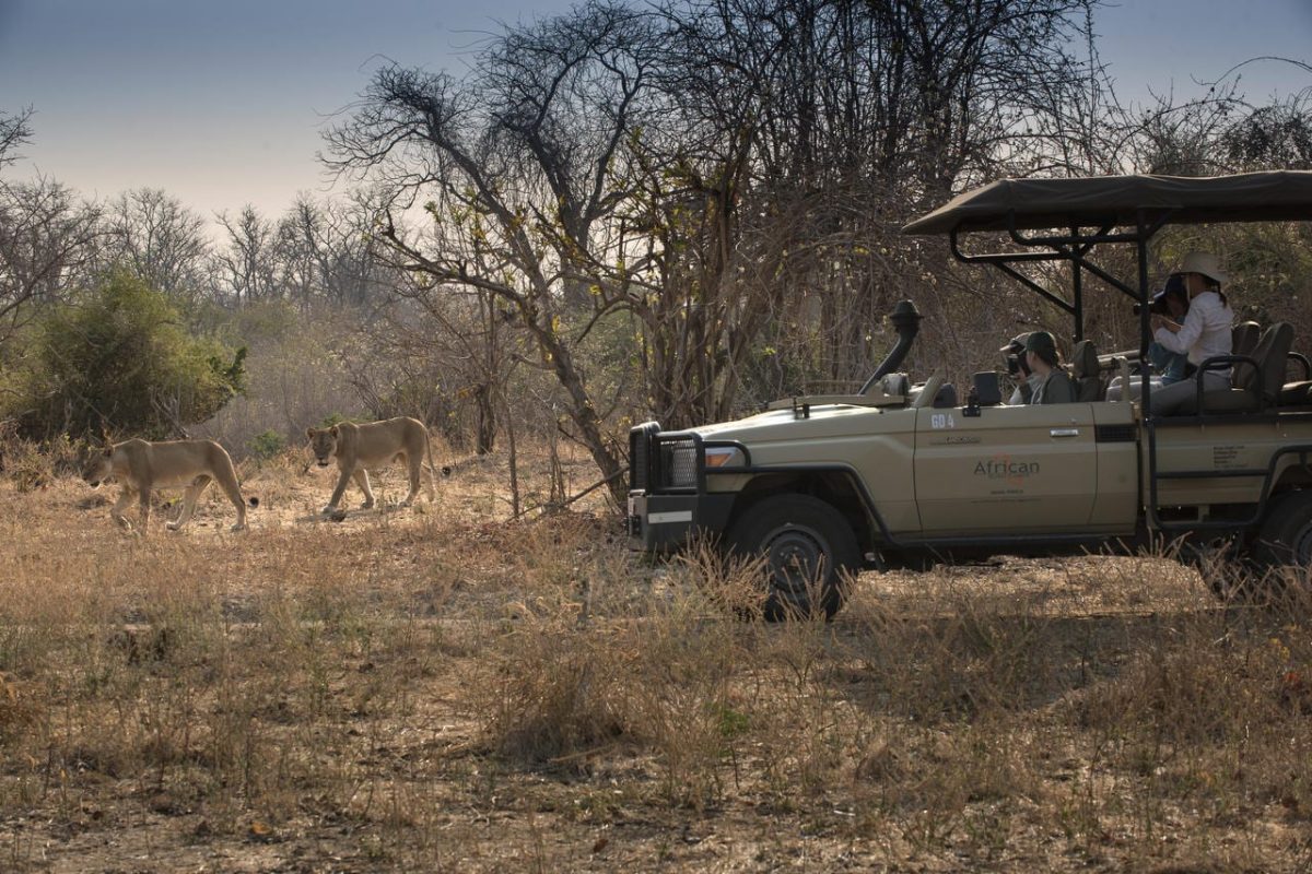 Cedarberg Travel | Kanga Camp