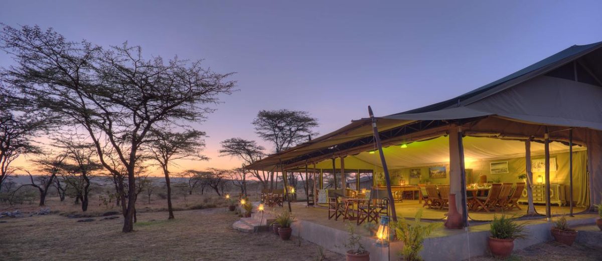 Cedarberg Travel | Kicheche Bush Camp