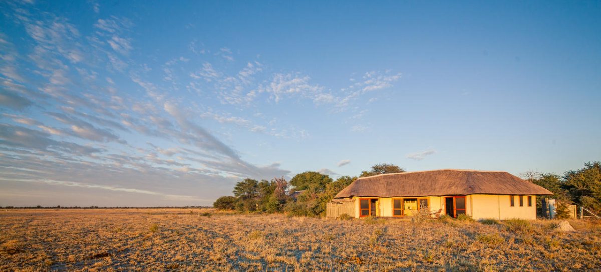 Cedarberg Travel | Kwando Nxai Pan Camp