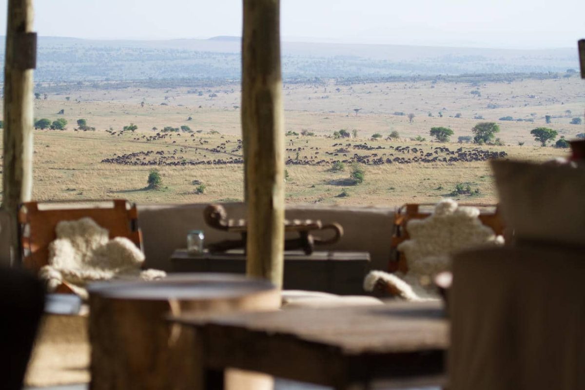 Cedarberg Travel | Lamai Serengeti