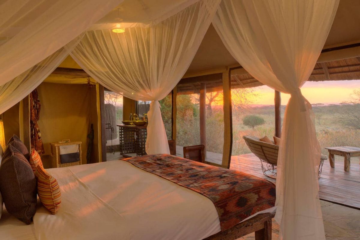 Cedarberg Travel | Little Oliver's