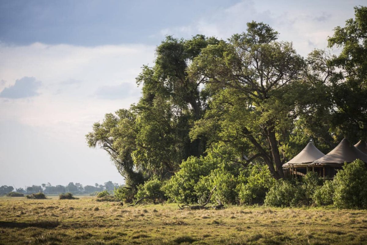 Cedarberg Travel | Little Mombo