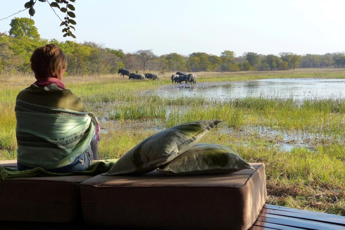 Cedarberg Travel | Nanzhila Plains Safari Camp