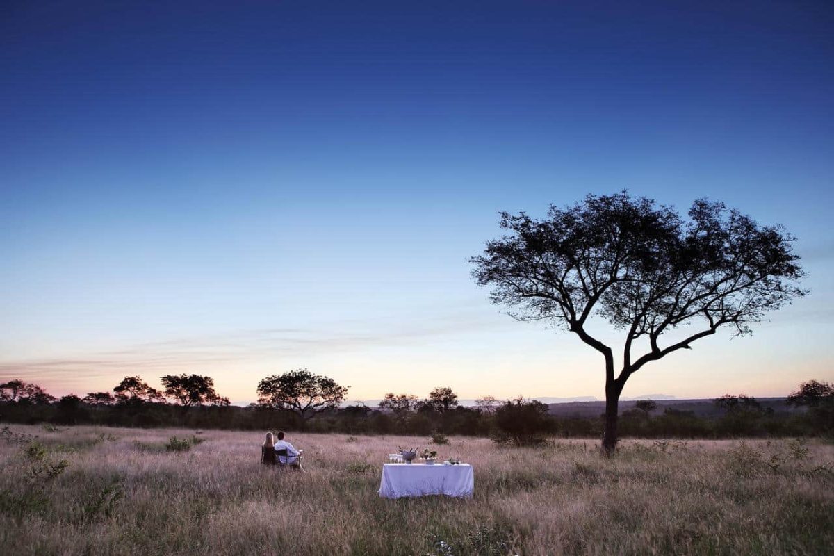 Cedarberg Travel | Londolozi Tree Camp