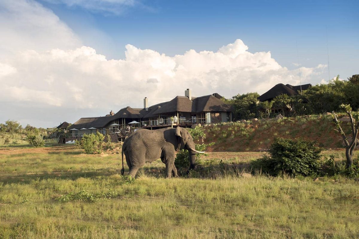 Cedarberg Travel | Welgevonden Safari Getaway