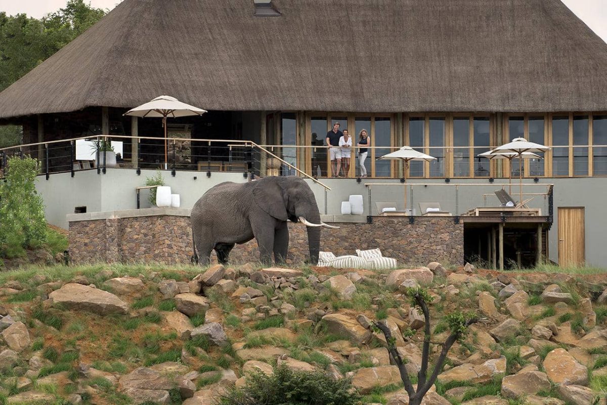 Cedarberg Travel | Mhondoro Safari Lodge & Villa