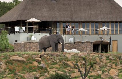 Mhondoro Safari Lodge & Villa