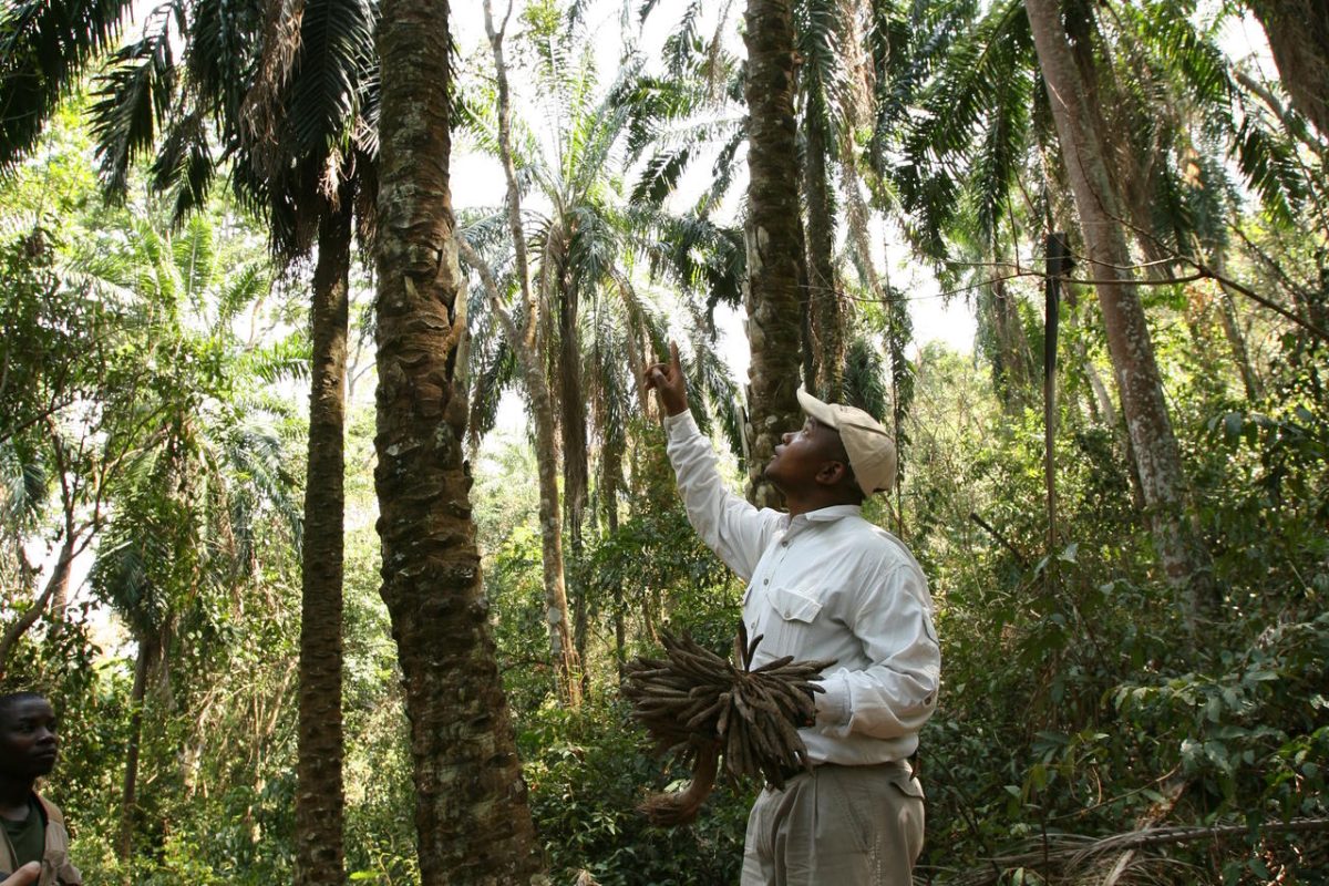Cedarberg Travel | Mbali Mbali Gombe