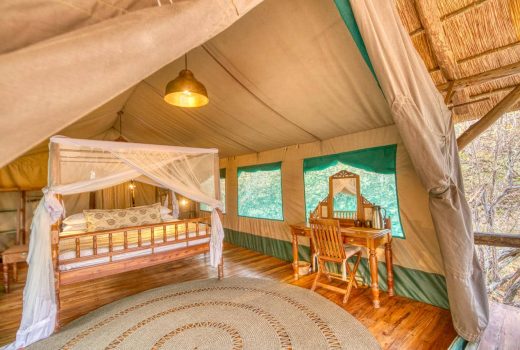 Safari Tents - Twin or Double