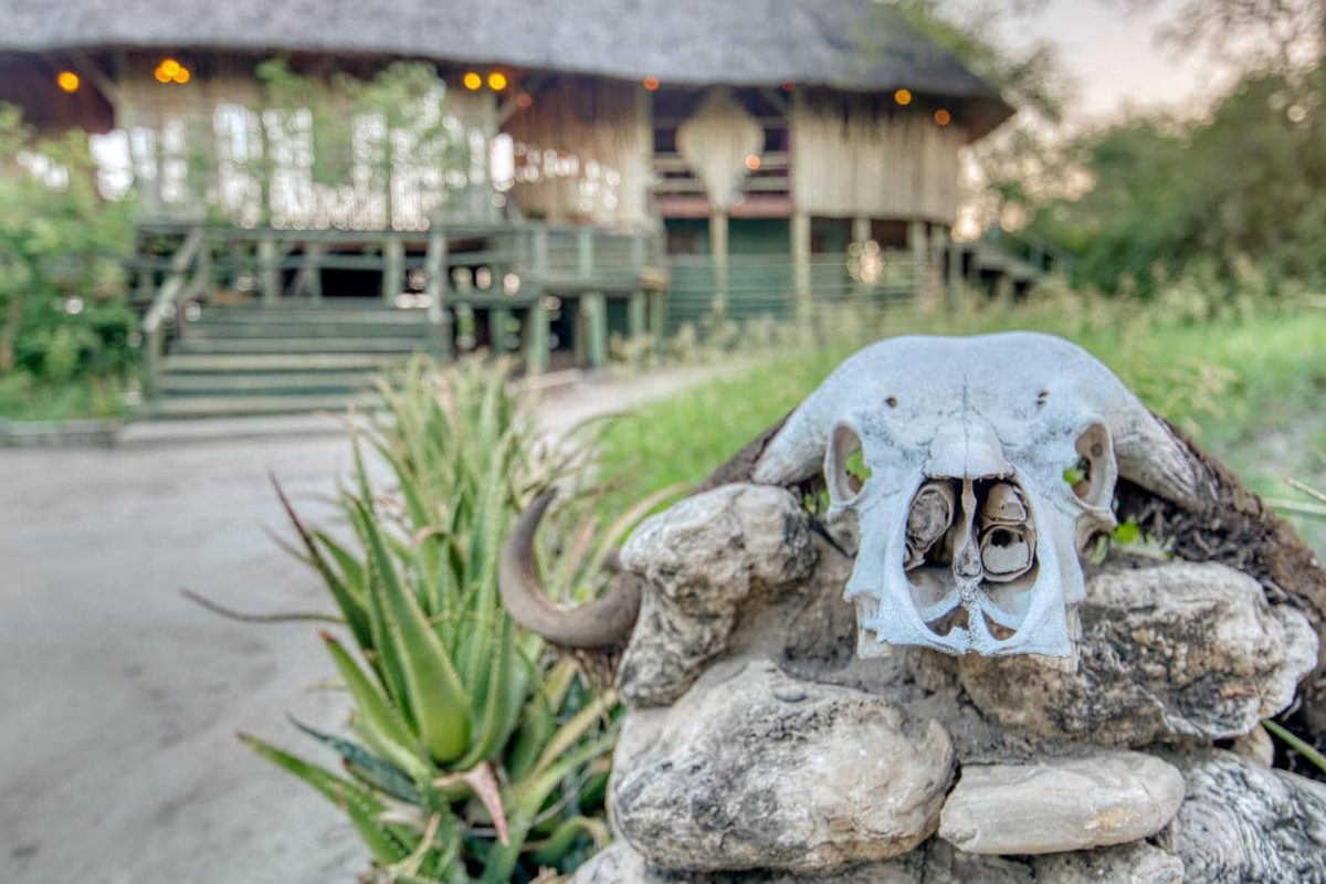 Cedarberg Travel | Mbali Mbali Tarangire River Camp