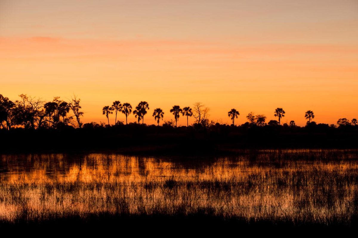 Cedarberg Travel | andBeyond Nxabega Okavango Tented Camp